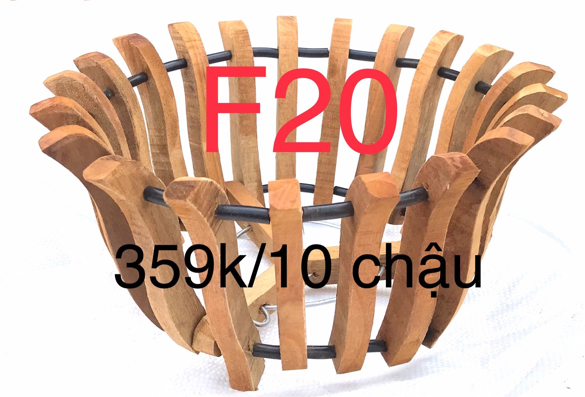 10 chậu sen trồng lan f20