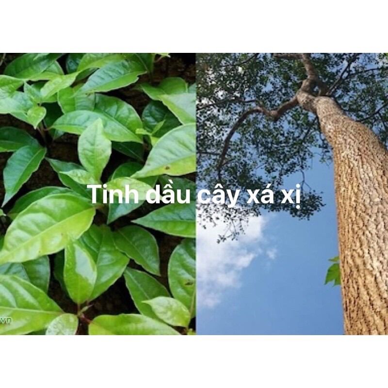 50ml tinh dầu xá xị