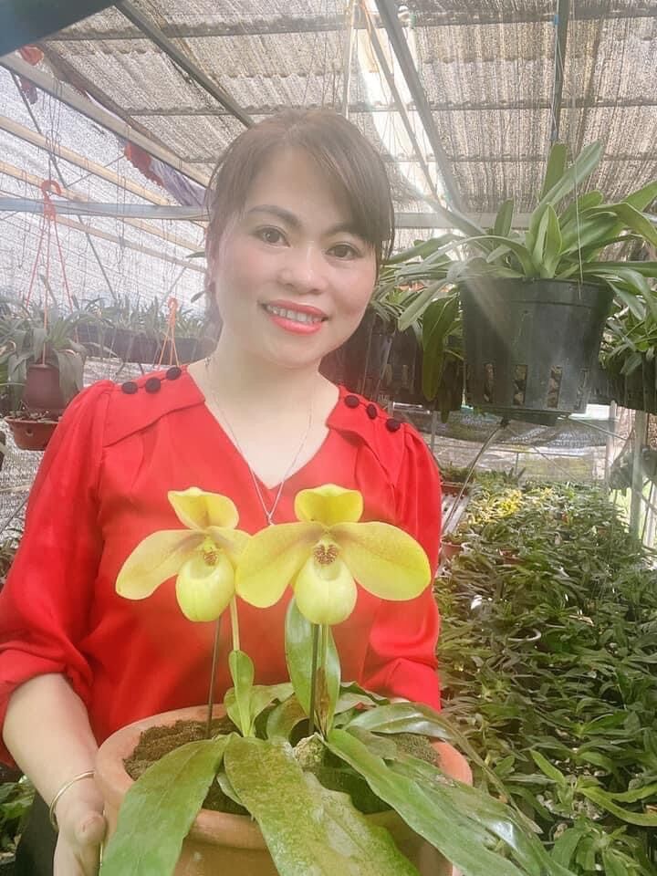 Hoa Lan đột biến hài hằng(1 cây)