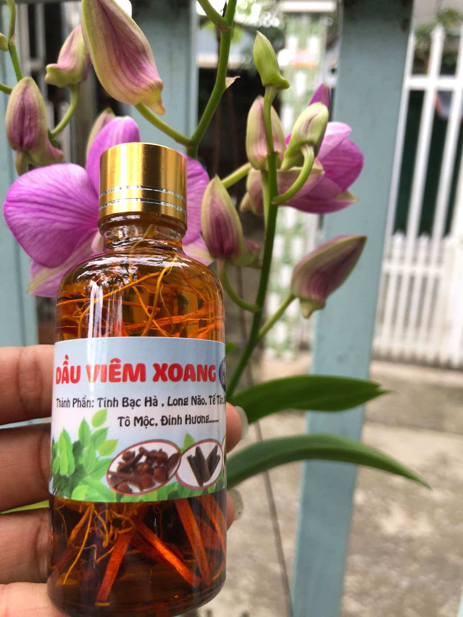 DẦU VIÊM XOANG VÀNG 50ML (RỄ THUỐC)