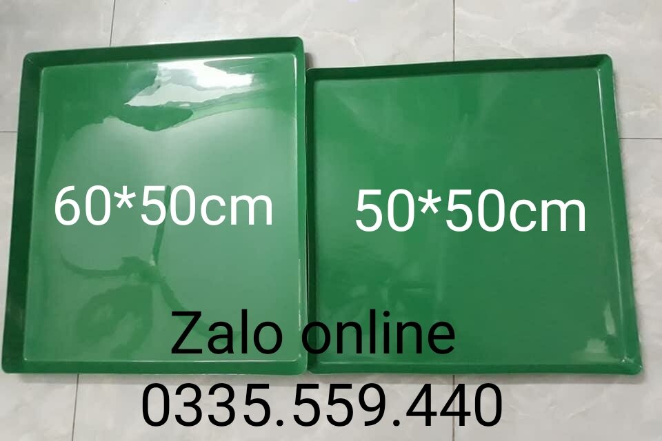 khay hứng phân chim gà chó mèo cảnh cỡ 50*50