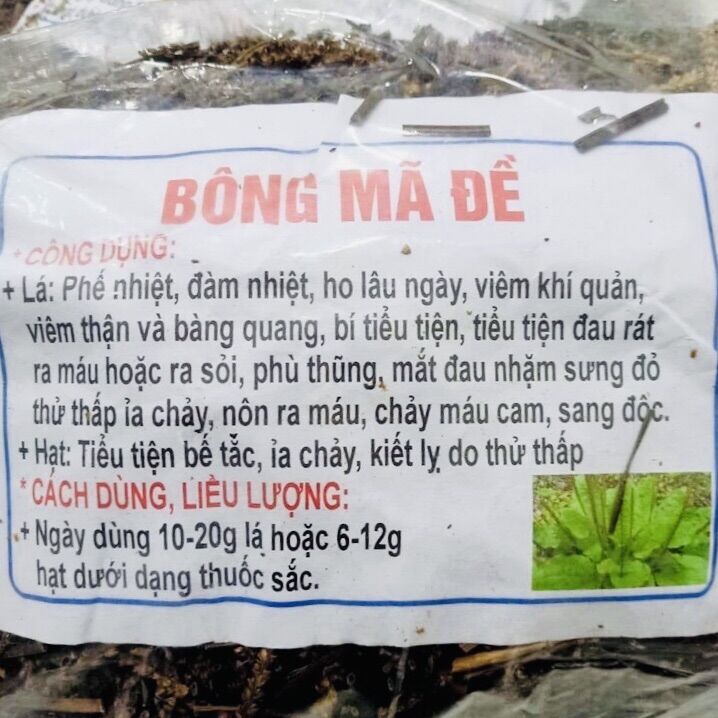 Bông mã đề ( xa tiền tử) thanh nhiệt 300g