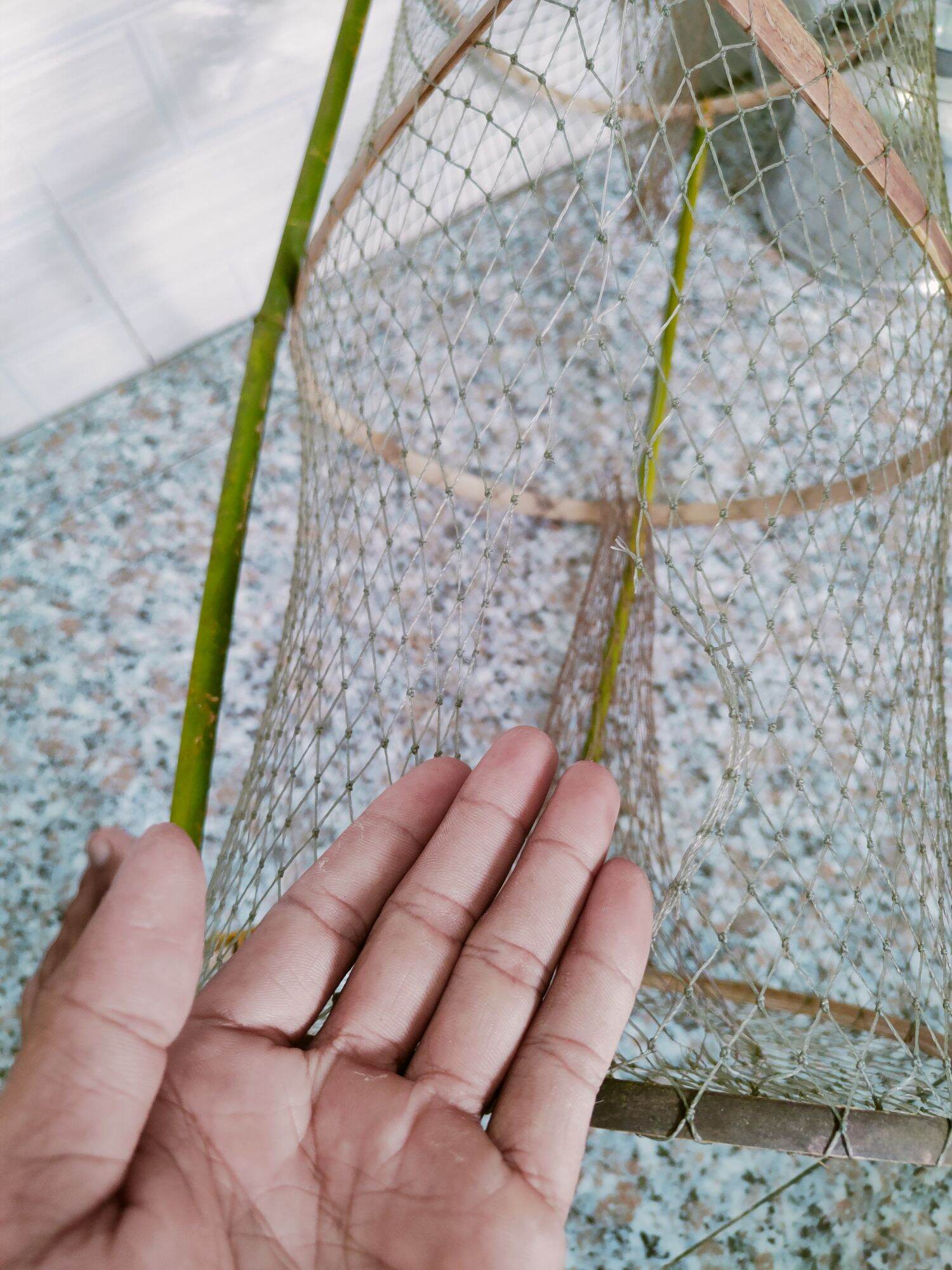 lờ cá cải tiến, lờ cá lóc, trê, lươn, ếch.v.v