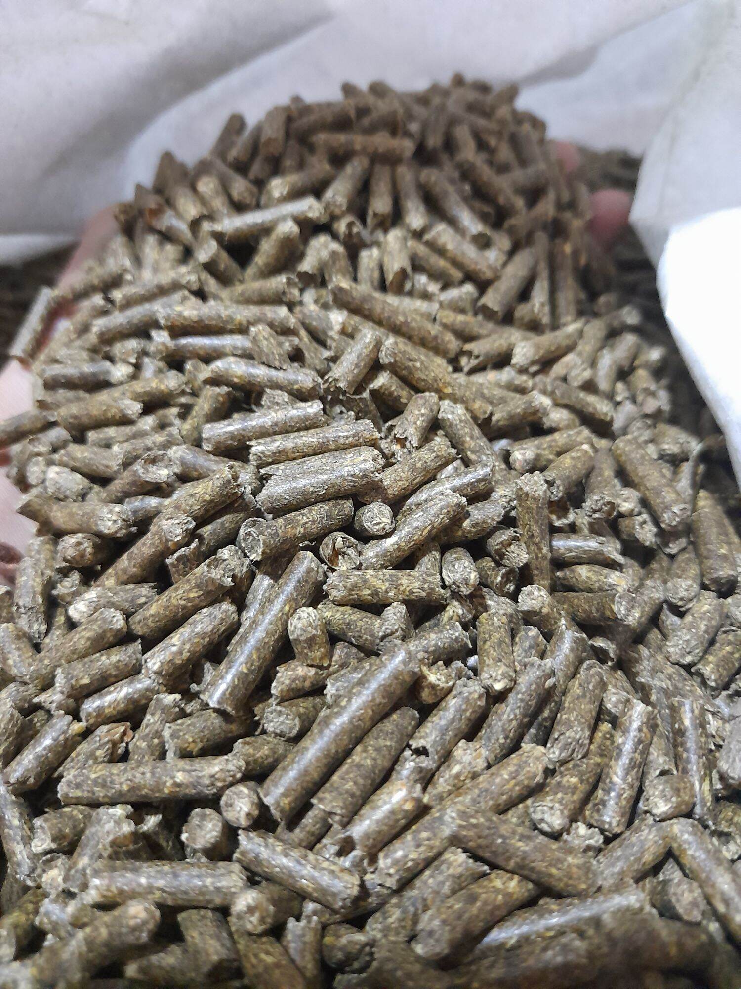 Cỏ nén alfalfa thỏ bọ ú gà đá 1kg