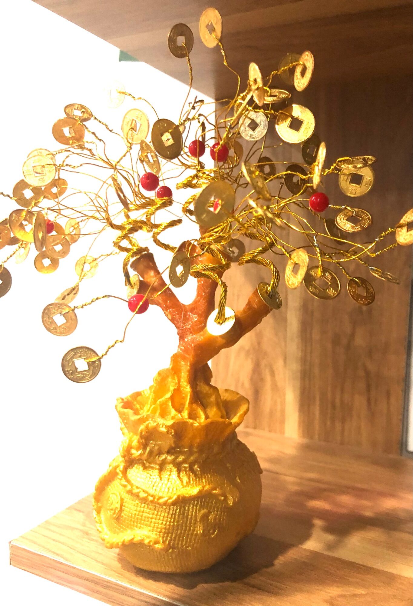 Cây tài lộc
