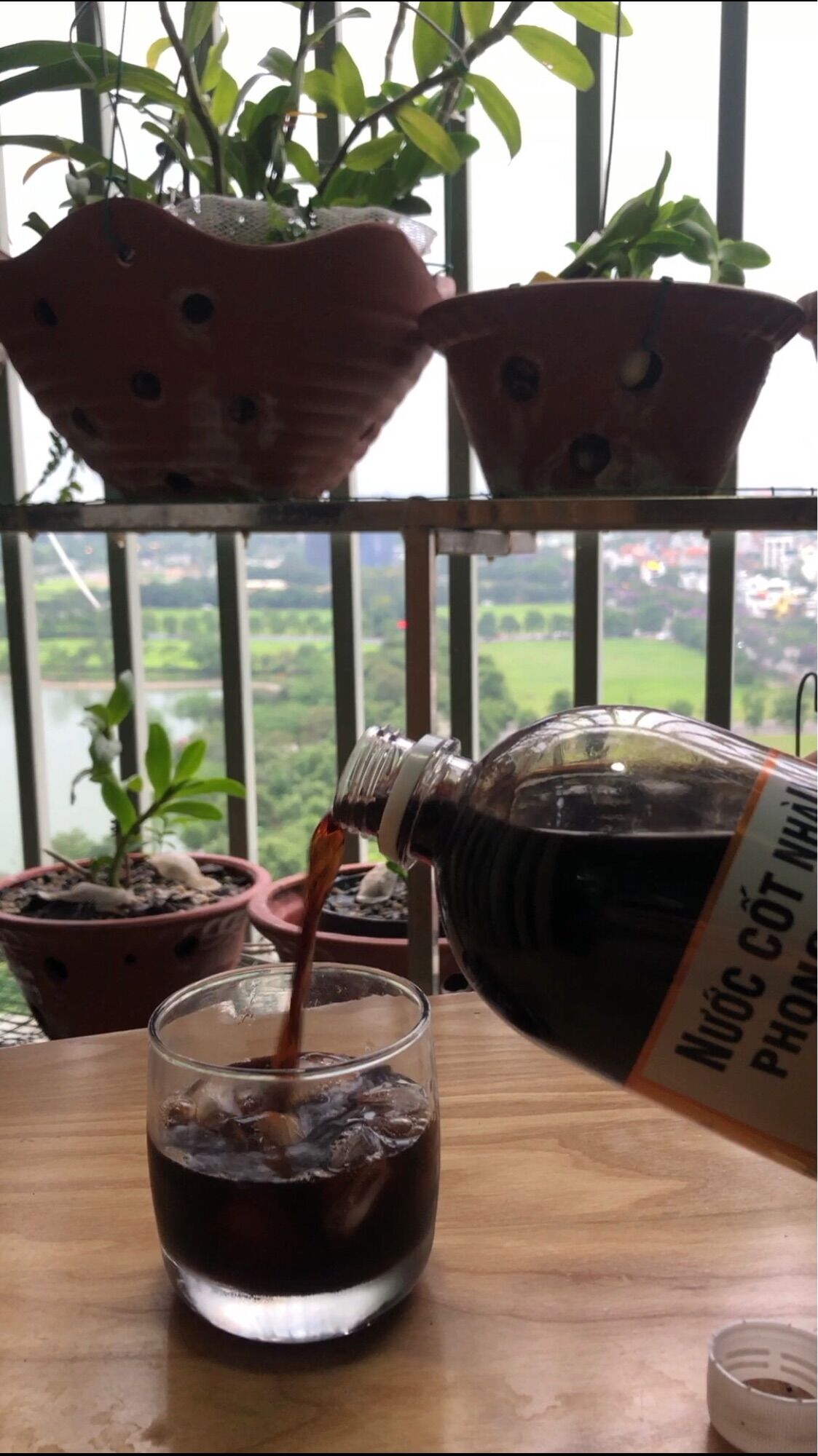 Nước ép trái nhàu - Noni juice