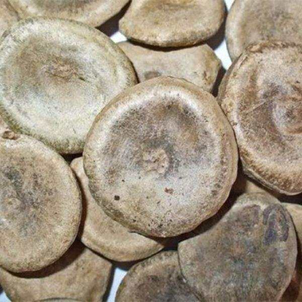 100g hạt mã tiền