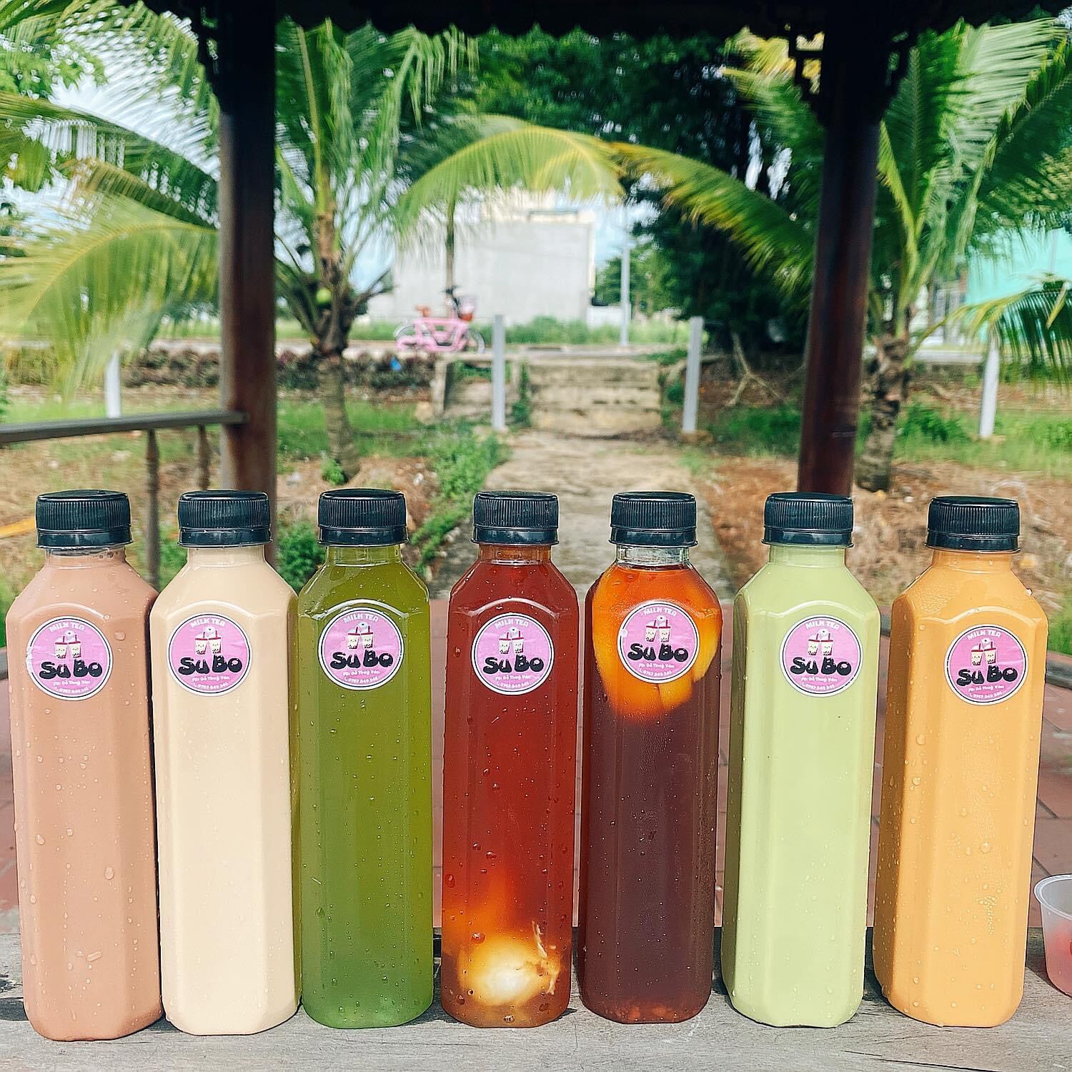 100 chai vuông cao 350ml nắp đen