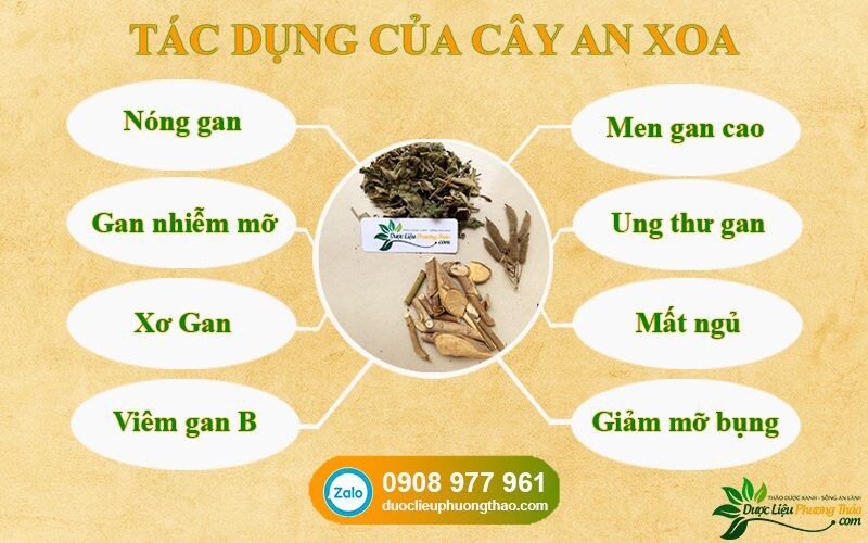 Thảo dược an xoa