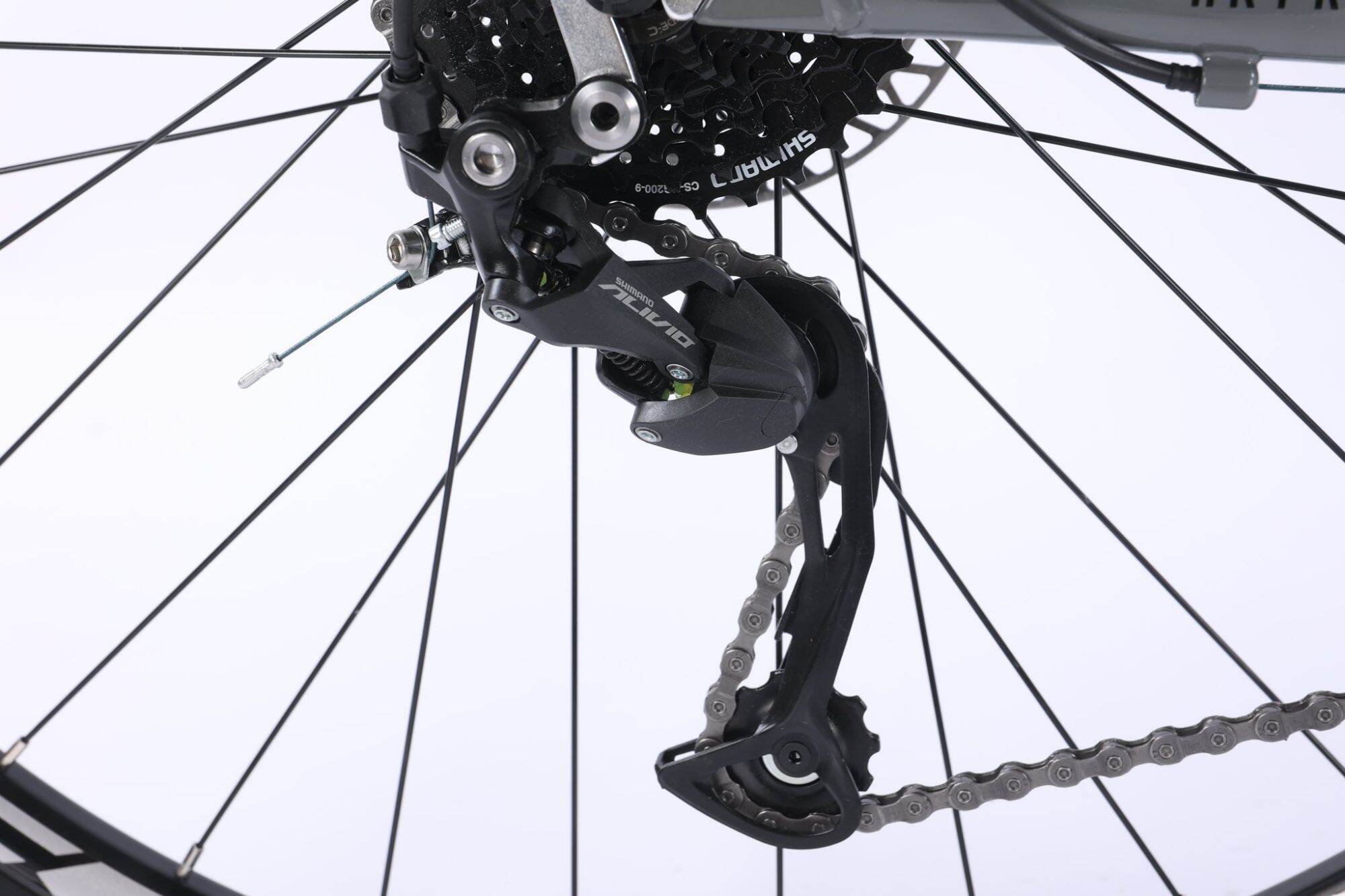 chevaux HK pro