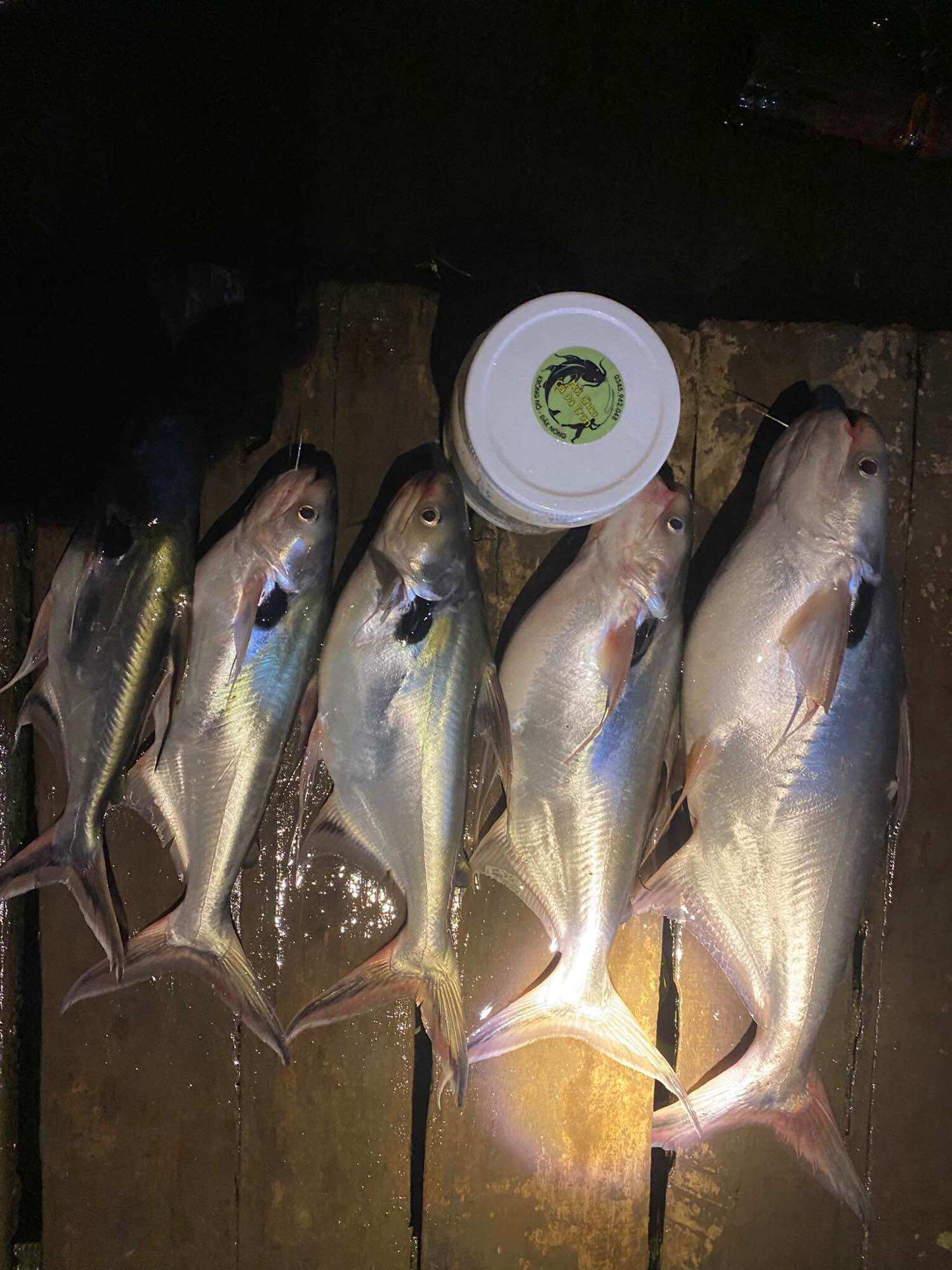 MỒI CHAO CÁ LĂNG CÁ DA TRƠN 500G