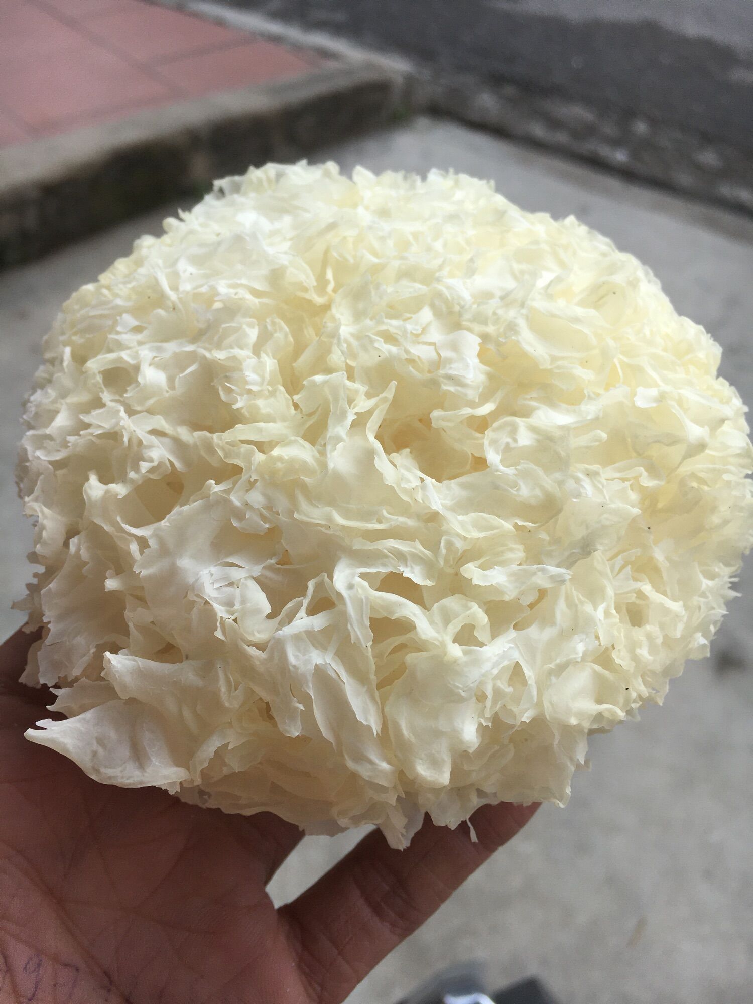 300G Nấm Tuyết mộc nhĩ tuyết loại xin