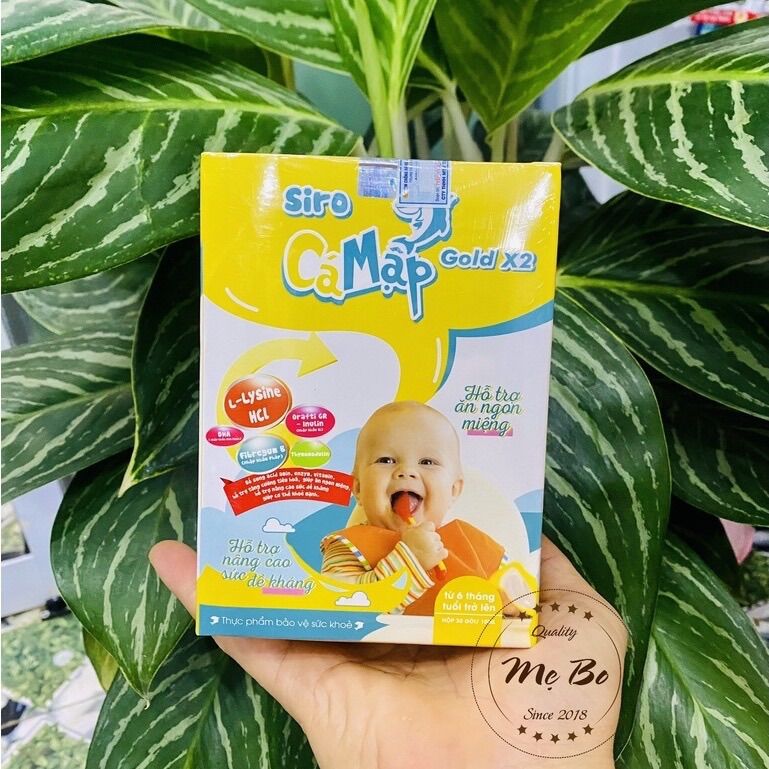 SIRO CÁ MẬP GOLD X2 DỨT ĐIỂM THÓI BIẾNG ĂN