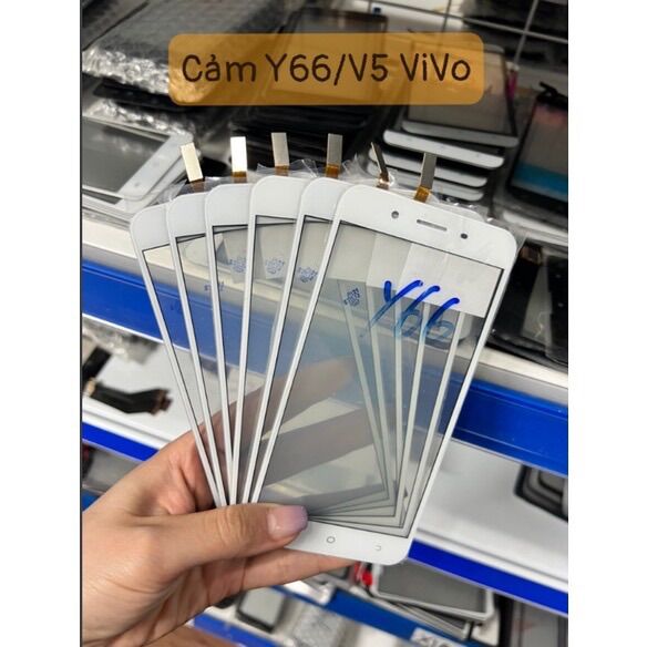 Cảm ứng y66 vivo