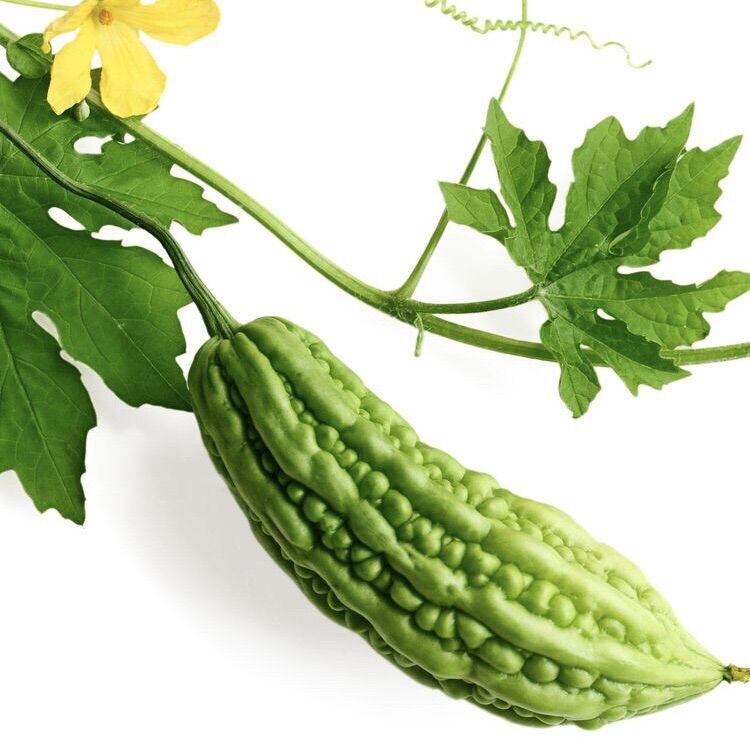 Hạt Giống Khổ Qua F1