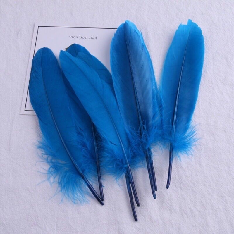 Lông vũ tự nhiên set 5 cái