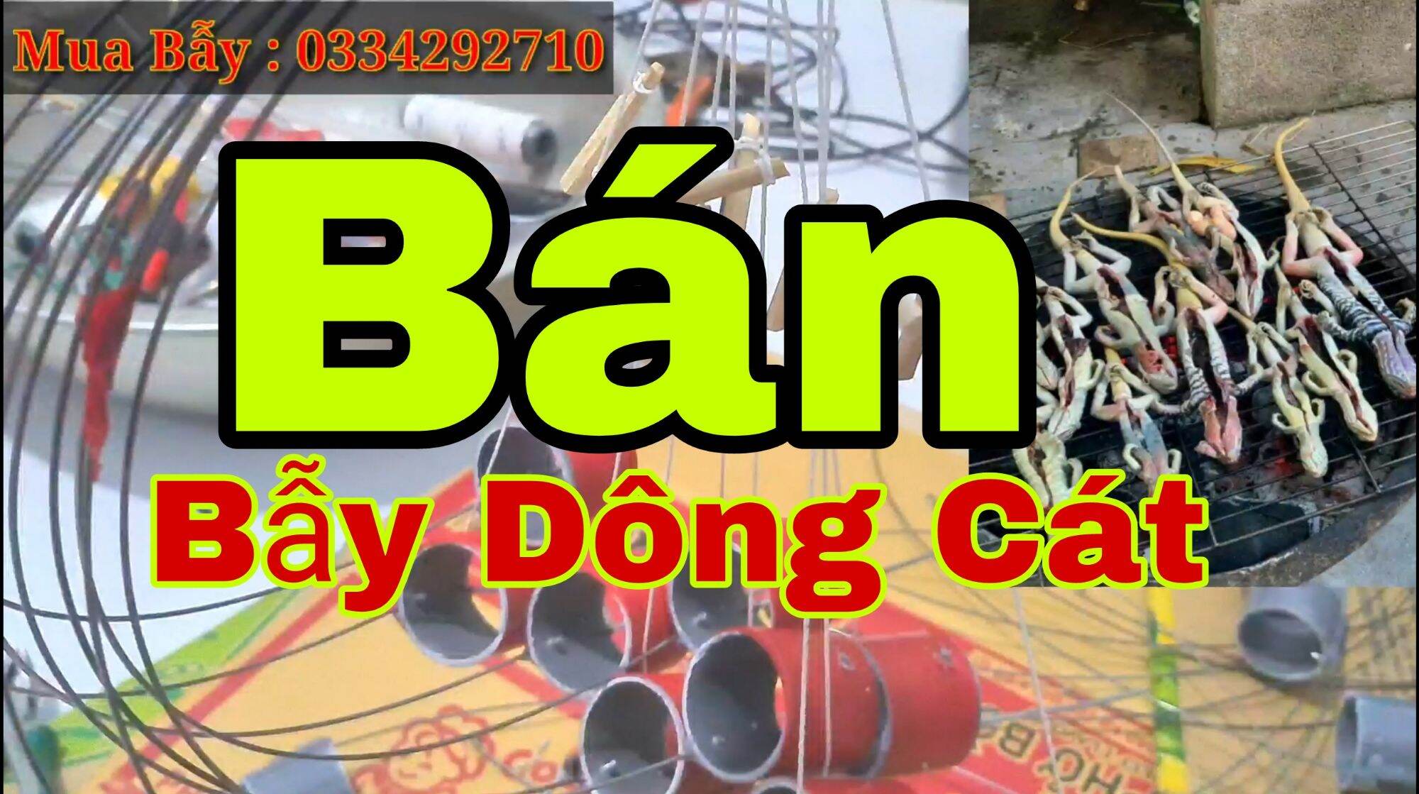 bẫy dông cát