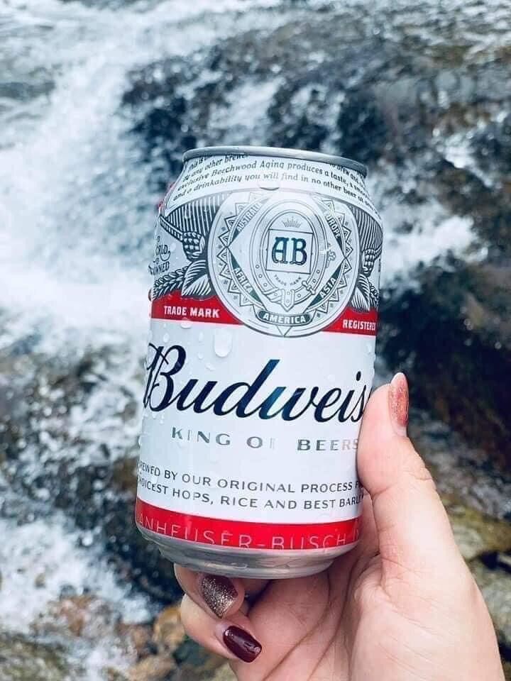 BIA BUDWEISER (USA) – thùng 24 lon 330ml
