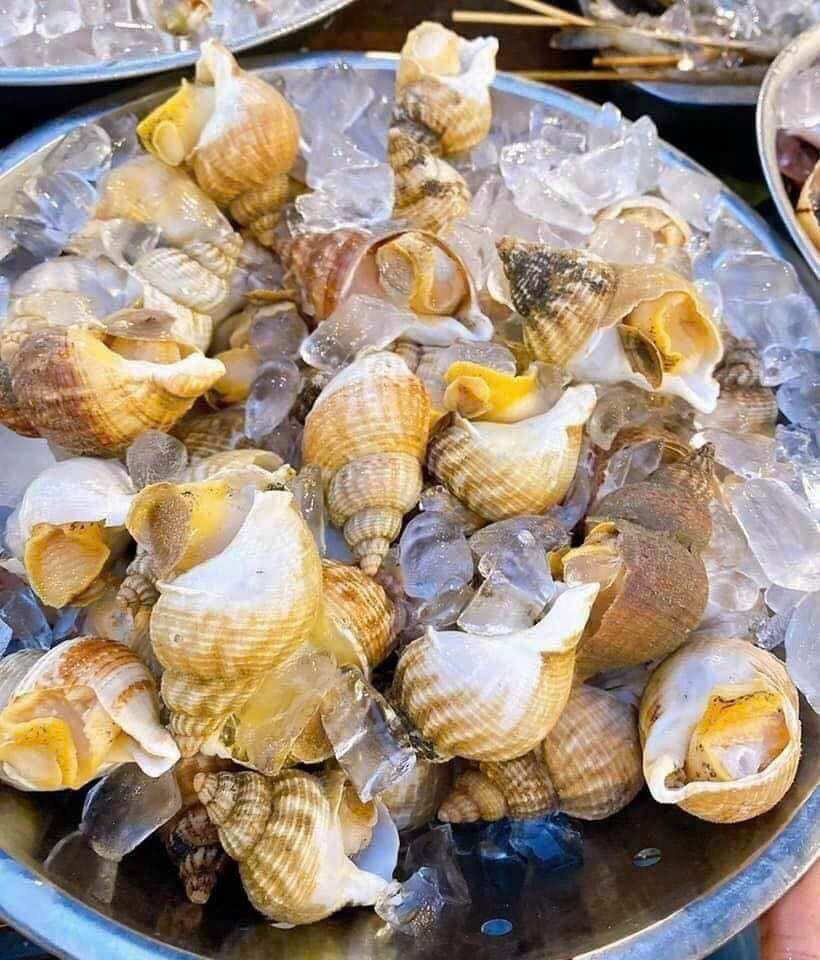 1kg ỐC BULOT PHÁP (size 30-50con)