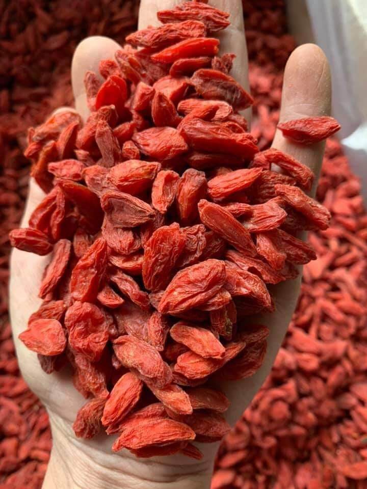 500gr trà hoa nhài đã sao vàng