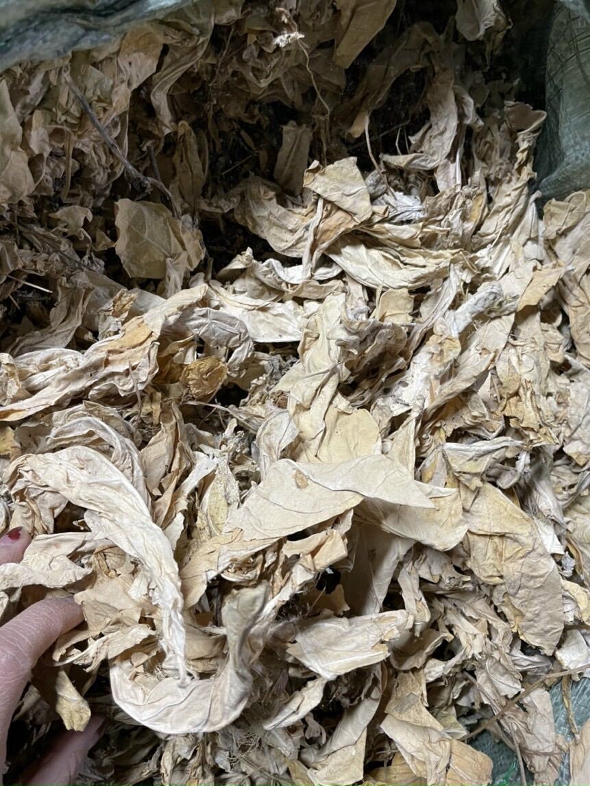 Dried Hen Leaf Plant 1kg (Bong Bong Plant)