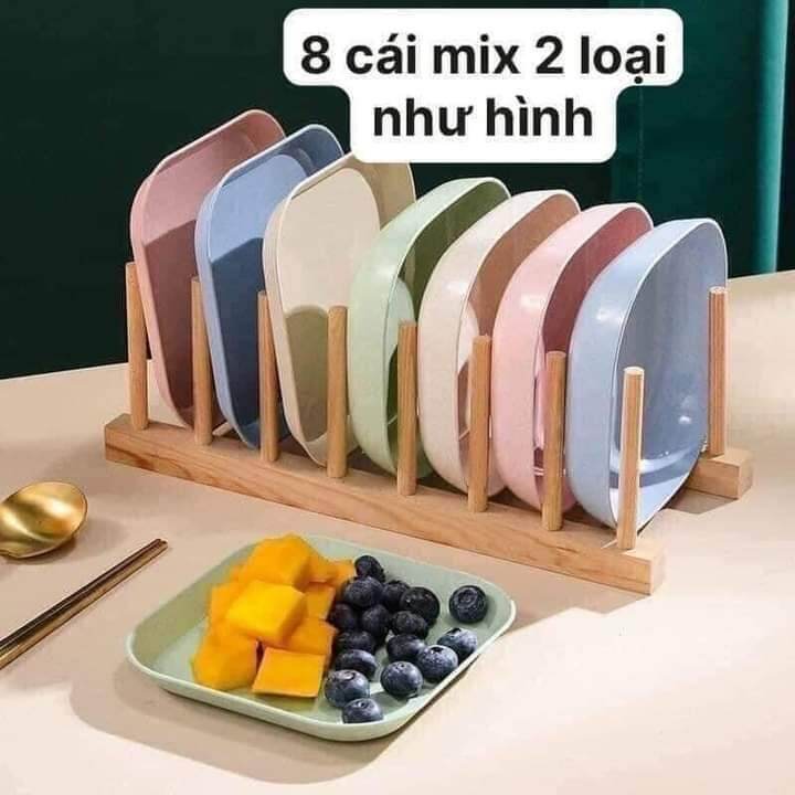 Combo 8 đĩa nhựa lúa mạch mix 2 loại