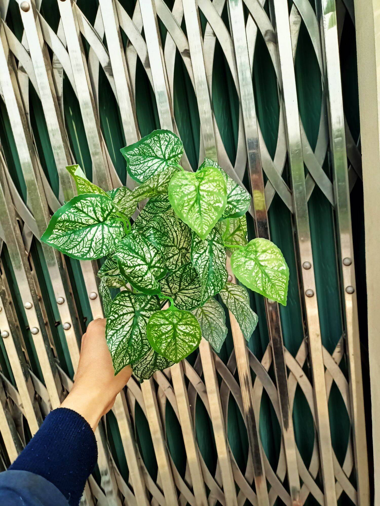 Cây giả, cụm Lá 7 nhánh