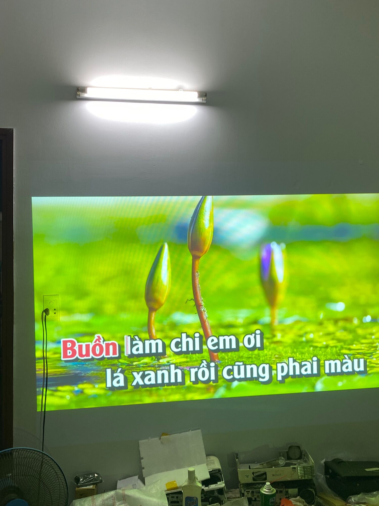 Máy chiếu dạy học Panasonic PT-LB300