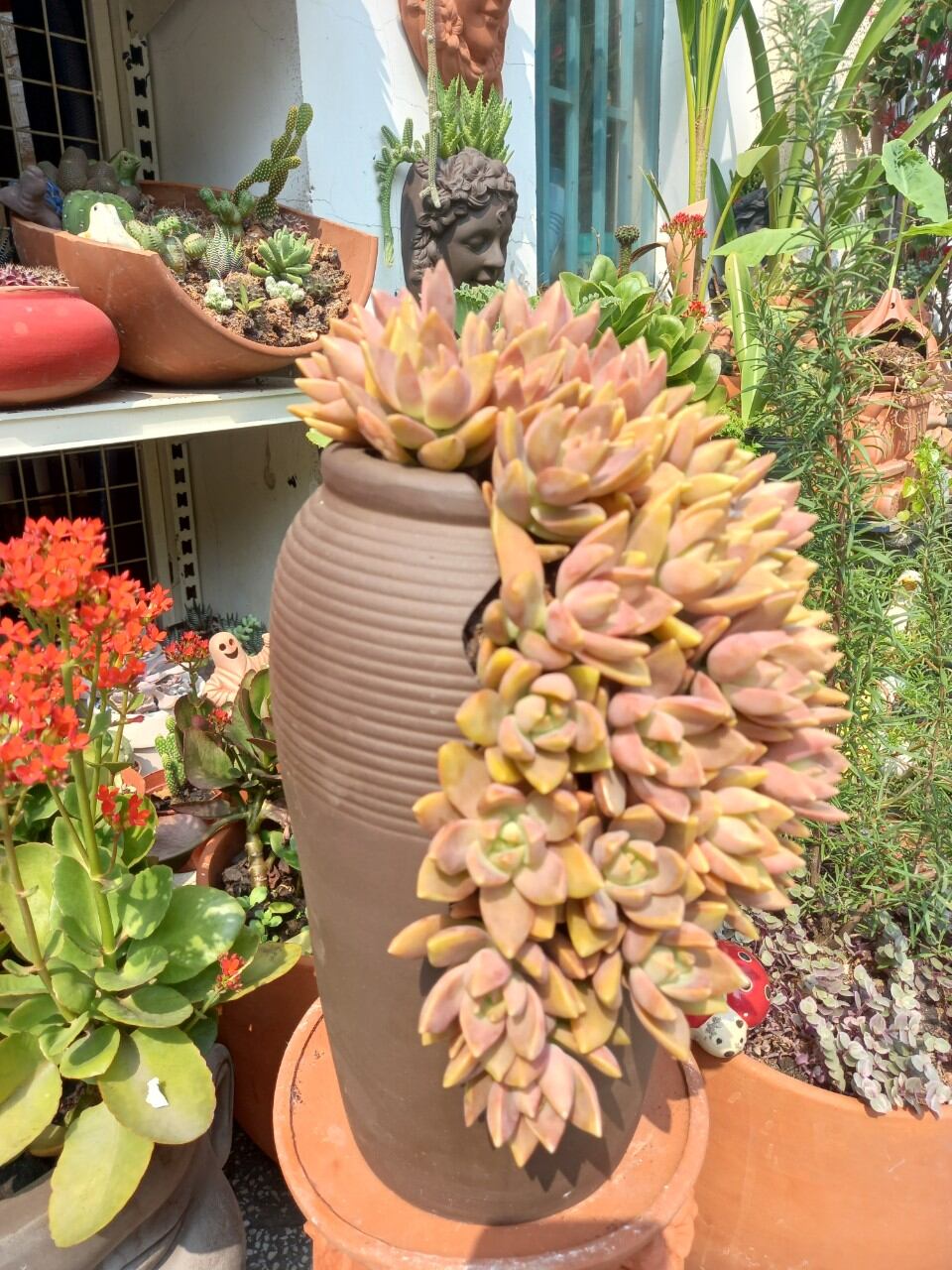 Chậu đất nung Bình Dương xẻ thân cao 30cm, miệng 13