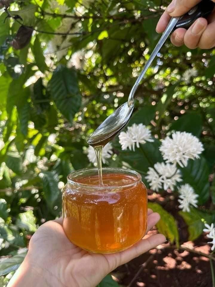 Chai 1Lít Mật ong hoa cà phê Đắc Lắc