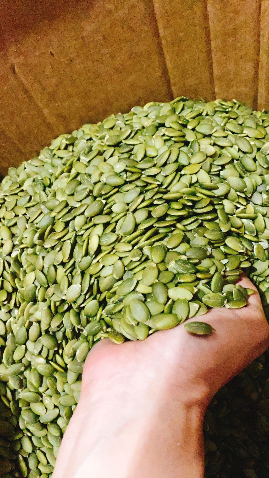 500G Nhân bí Ấn Độ còn sống làm sữa