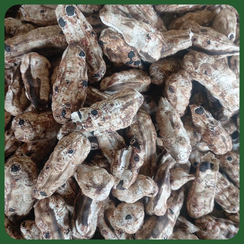 Quả chuối cô đơn 1KG - 1KG