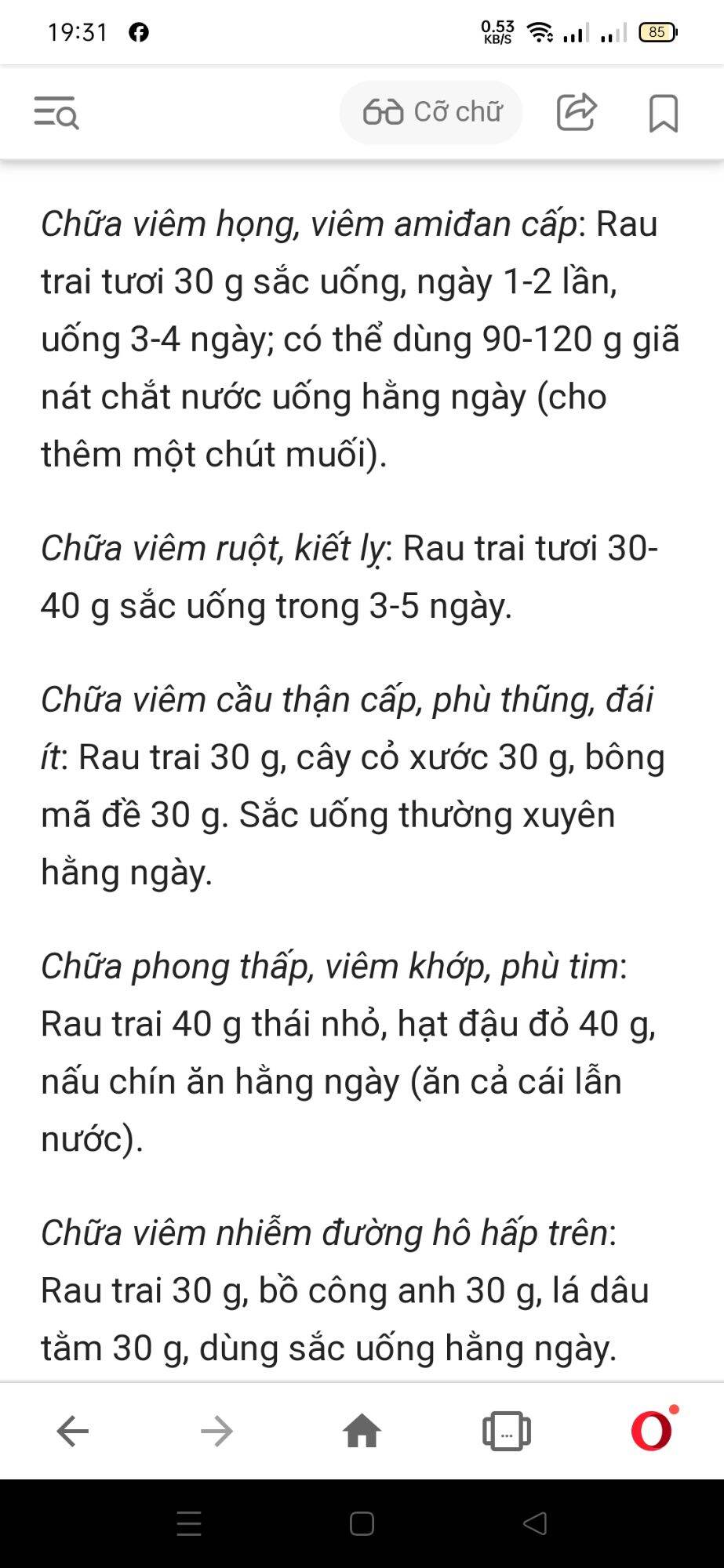 [Chỉ Ship Miền Nam] 500gam Đọt Rau Trai Tươi ( Cây Thài Lài)  Khách đặt mới hái
