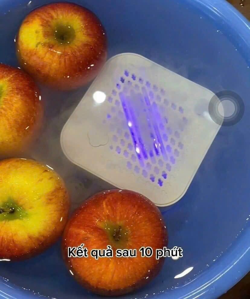Máy khử khuẩn thực phẩm Gume Hàn Quốc