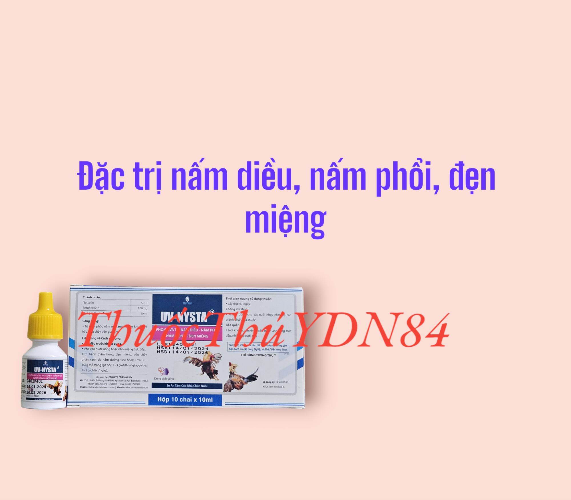 Uv nysta 10ml nấm diều, nấm phổi, nấm họng, đẹn miệng gà đá