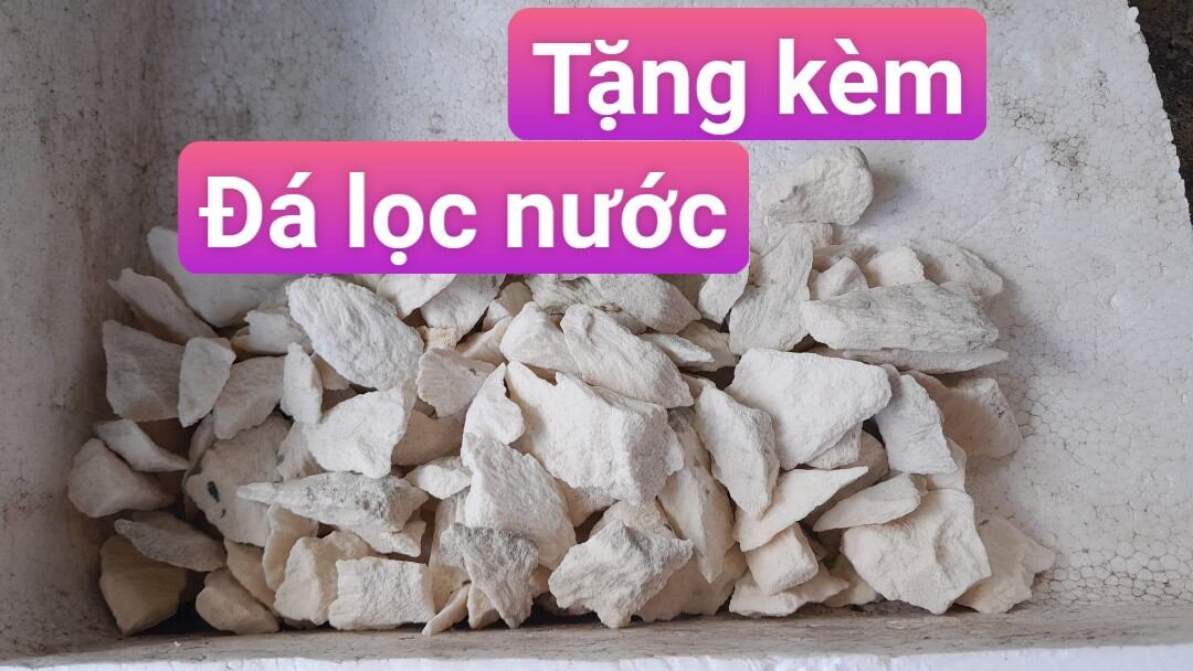 Hòn Non Bộ Hồ Cá Có Thác Nước Sinh Động