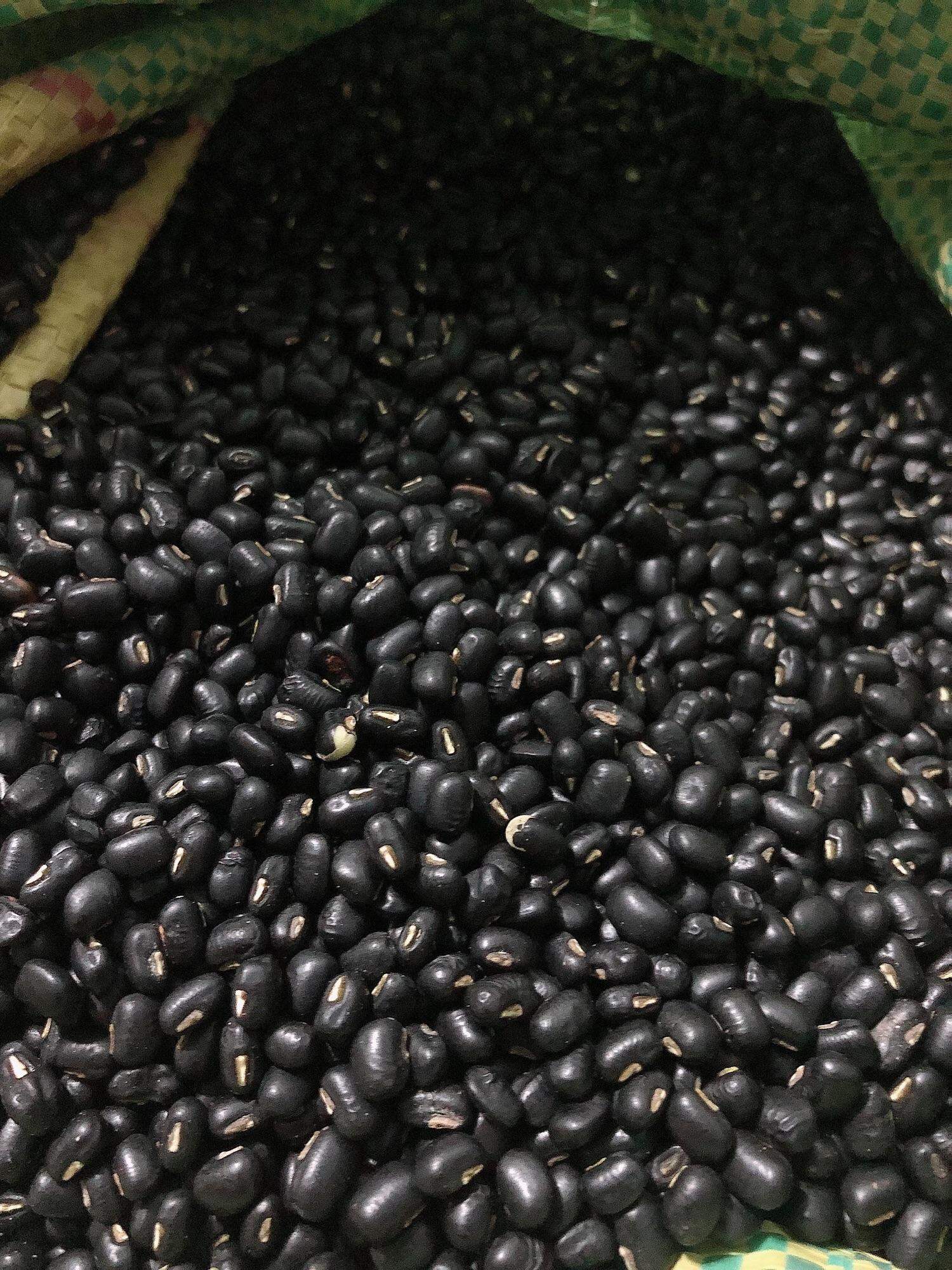 Đậu đen xanh lòng 1kg