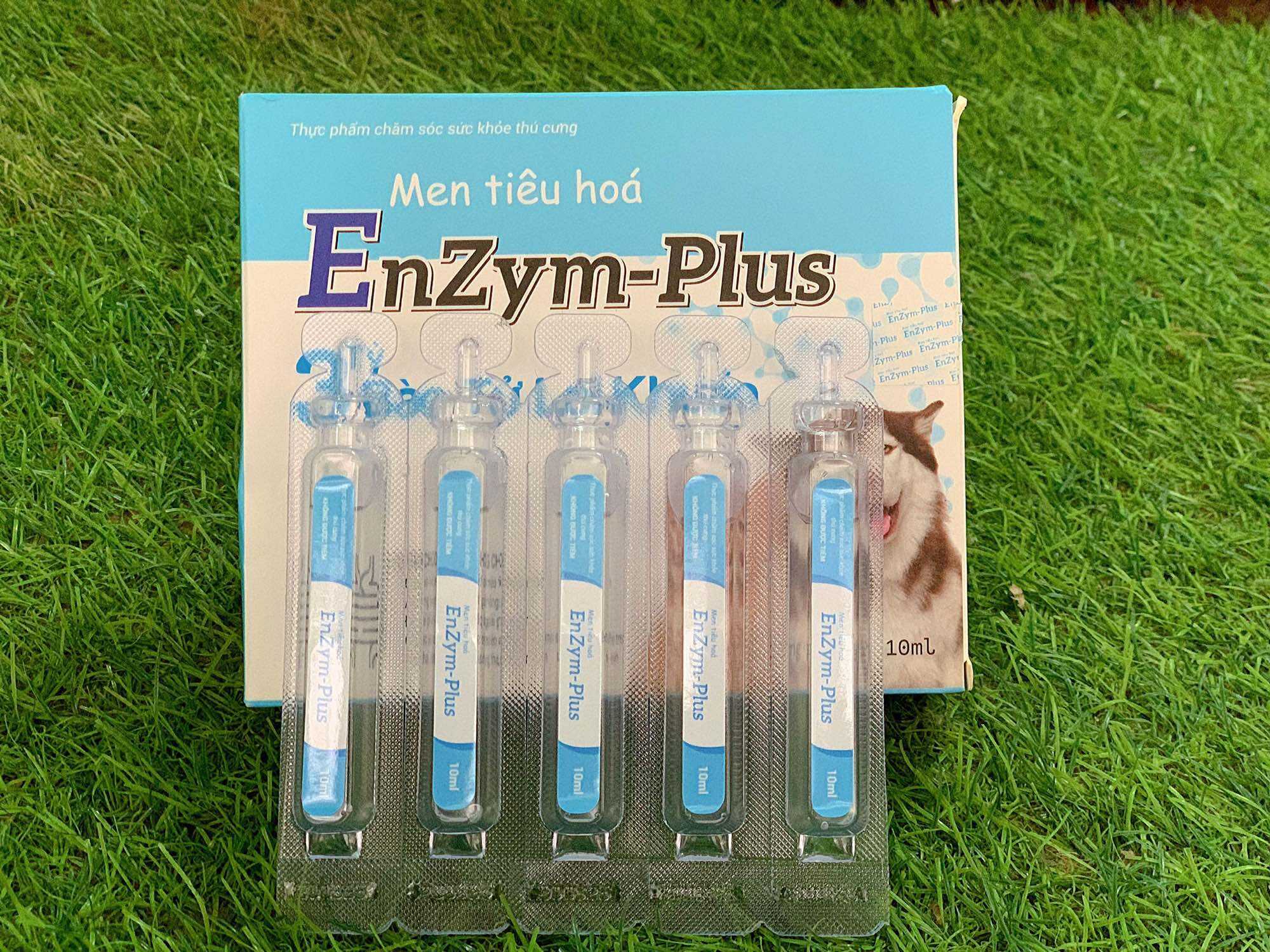 Men Tiêu Hóa Cho Chó Mèo EnZym-Plus dạng nước