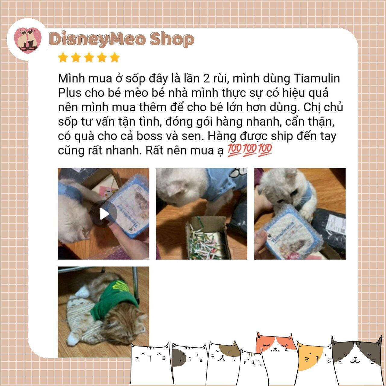 Tiamulin Plus cho mèo bị hô hấp