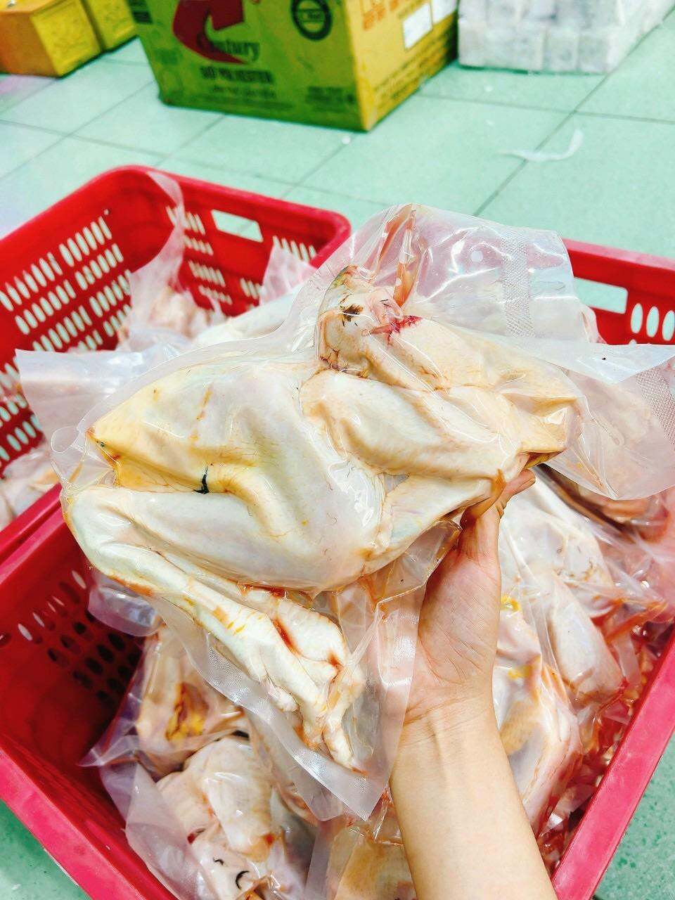 GÀ ta thả vườn con gà có đầu, có chân không lòng (giao tphcm)