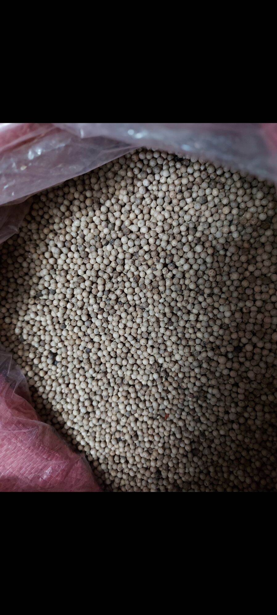Tiêu sọ xám đặc biệt 1kg