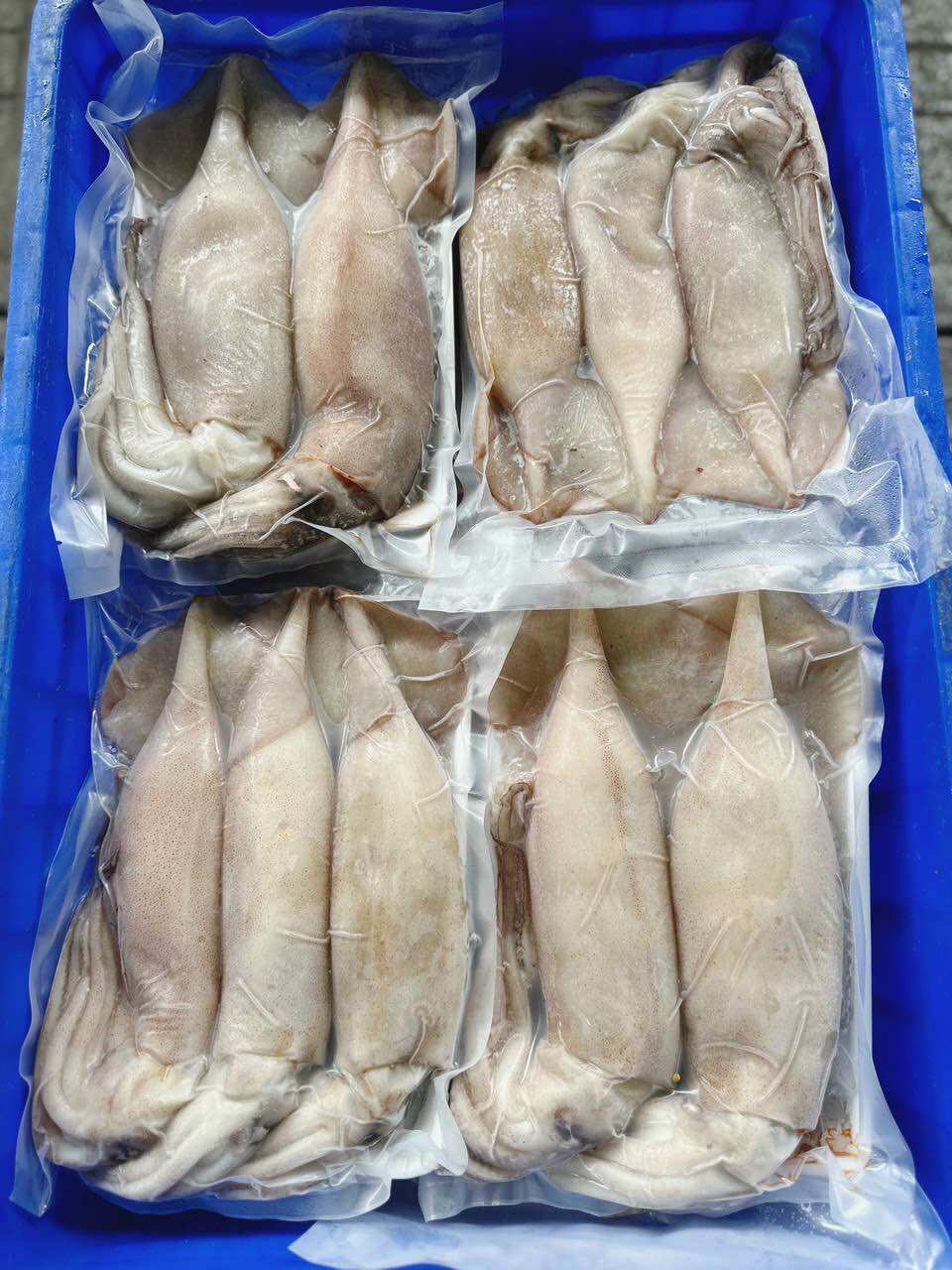 Mực ống Indo - khay 1kg net 7 (giao tphcm)