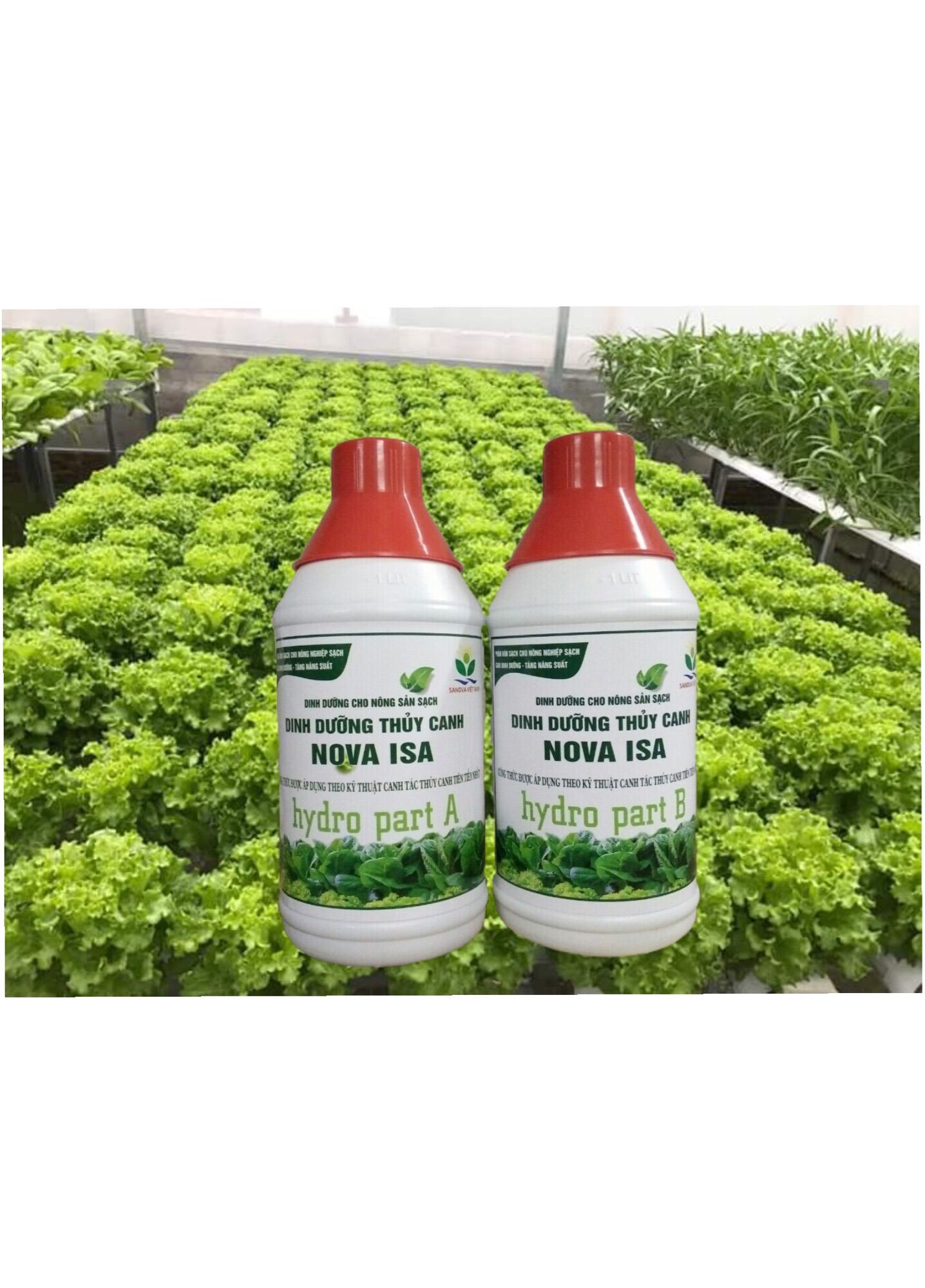 Combo 5 cặp dinh dưỡng thuỷ canh nova isa 2 lít.
