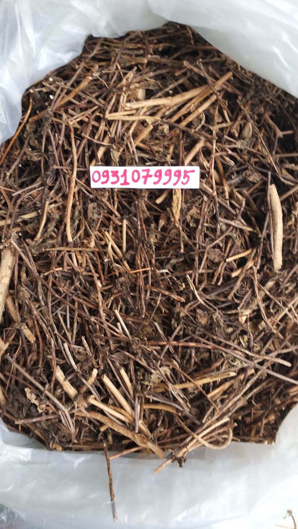 cây đuôi chuột phơi khô 1kg