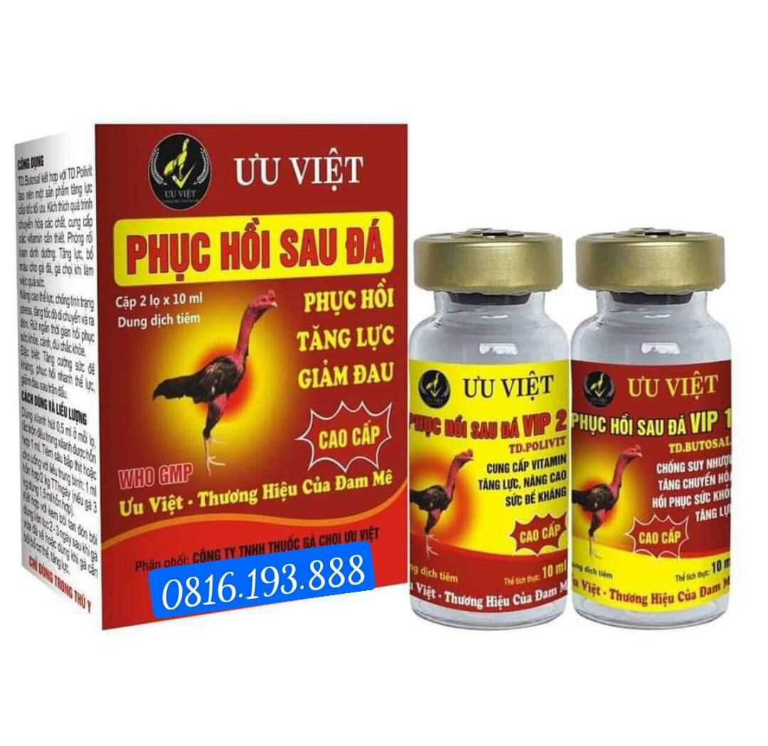 Tiêm phục hồi sau đá Ưu Việt Cho gà đá gà chọi