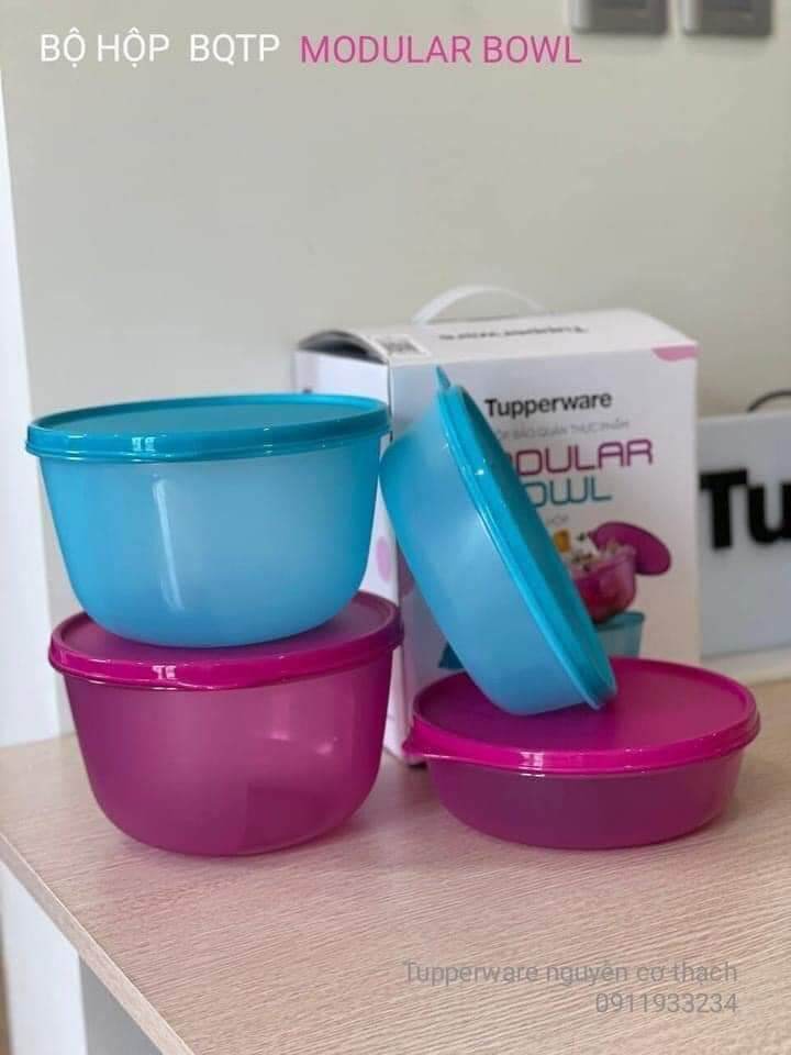 Bộ hộp bảo quản thực phẩm Modular Bowl (4)
