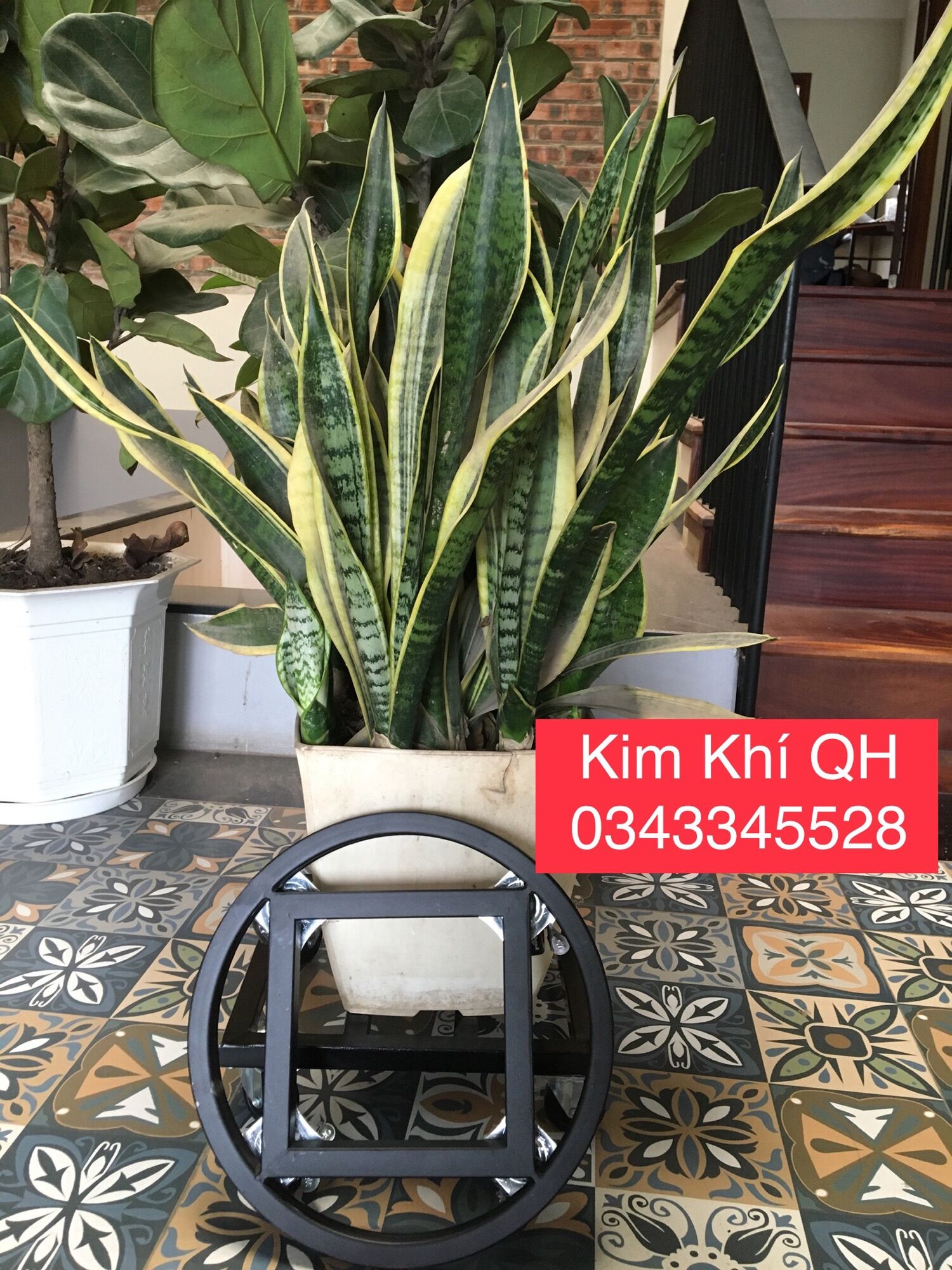 Giá Đỡ Chậu Cây tiện lợi giá rẻ