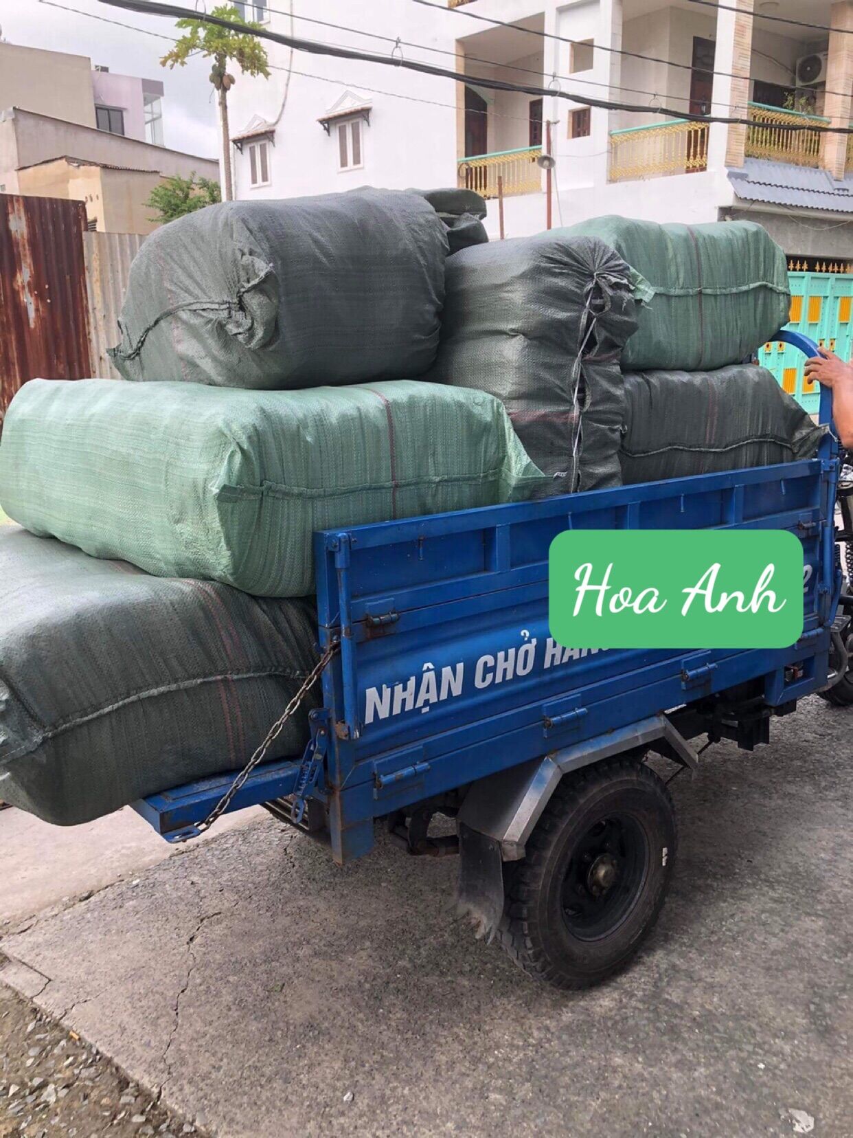 Balo Đeo Lồng Chim - Phụ Kiện Cho Chim Cao Cấp