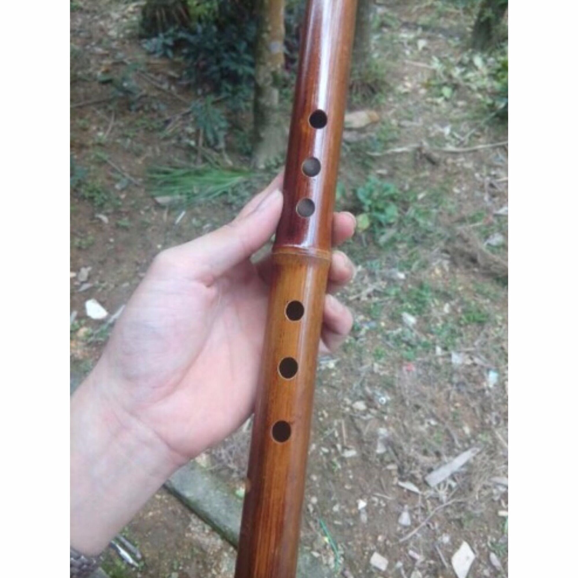 Tiêu Bát Khổng Trúc Hun D4