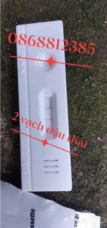 5 QUE THỬ THAI HEO - 0868812385